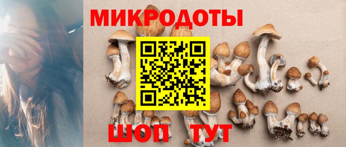 Галлюциногенные грибы мицелий Георгиевск